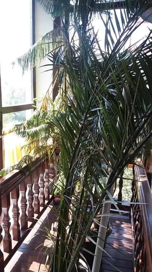 Vila Smaranda Predeal Luaran gambar
