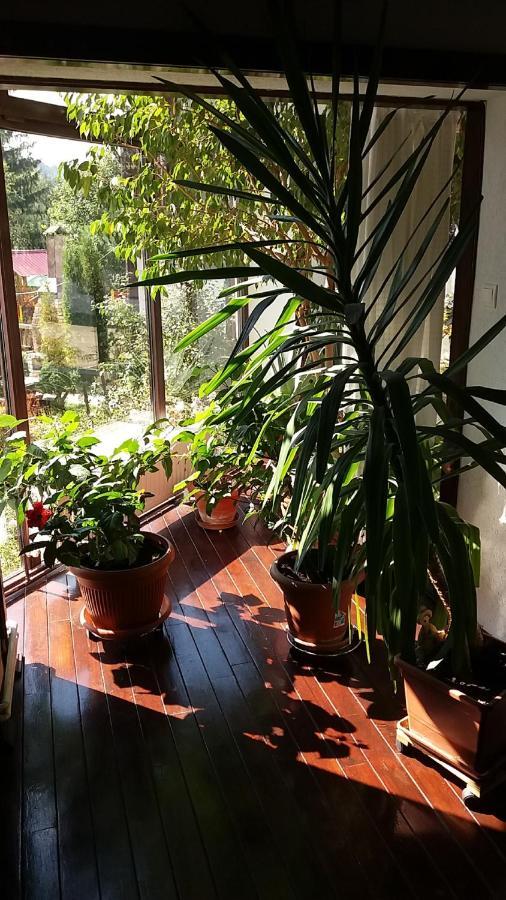 Vila Smaranda Predeal Luaran gambar